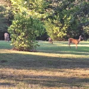 Meet your Posher, Joann